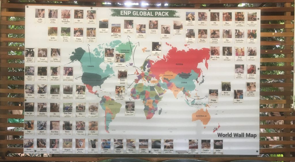 the Elephant Nature Park Global Pack