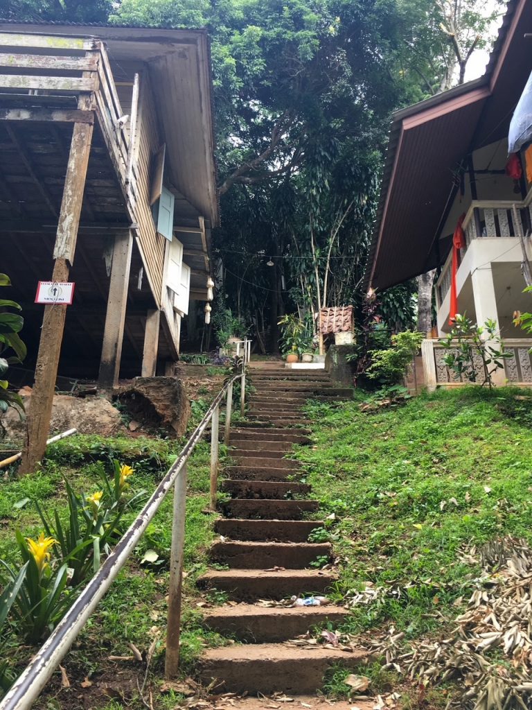 a steep hike up Doi Suthep along Monks Trail
