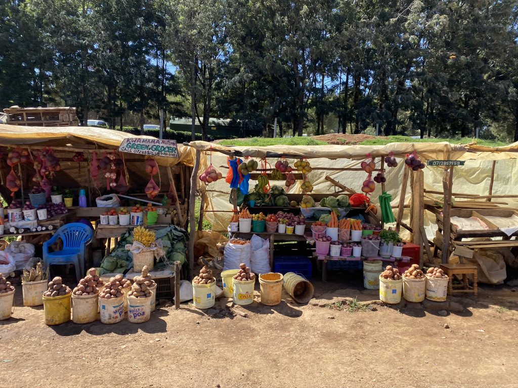 flowers and vegetables along the drive from Samburu National Reserve to Mount Kenya National Park