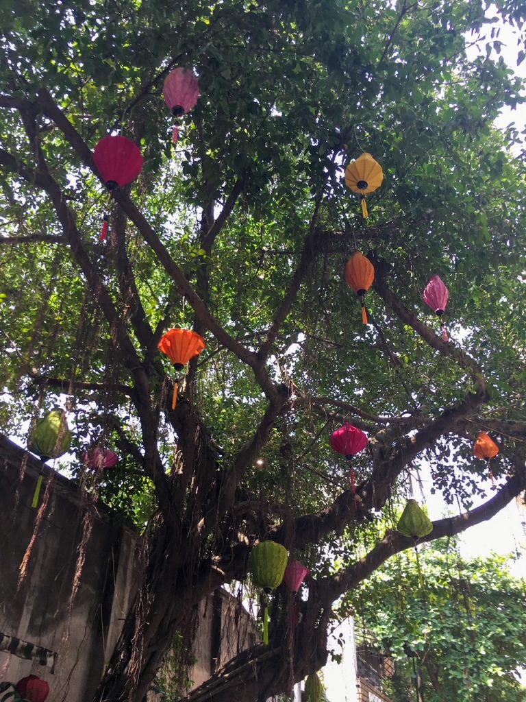 a tree decorated in Hanoi Vietnam