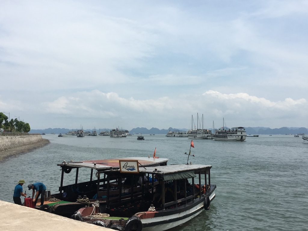 the Renea Cruises tender at Halong International Cruise Port
