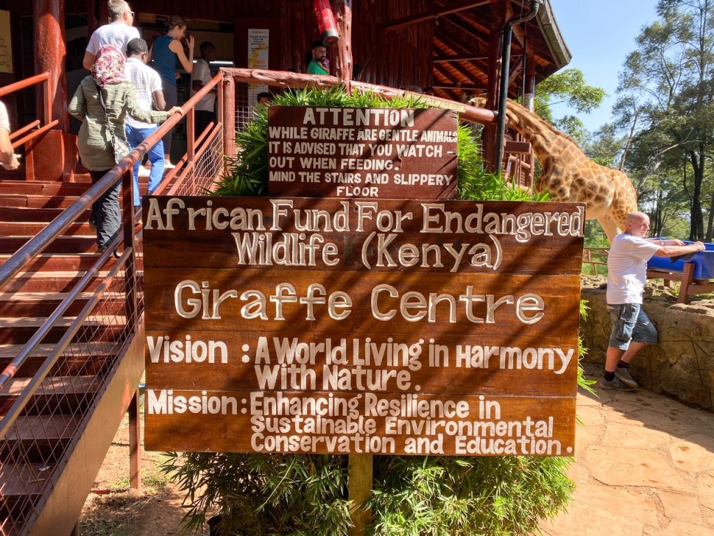 Giraffe Centre in Nairobi, Kenya