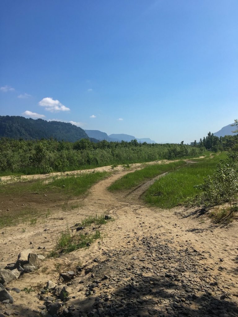 one of the trails at Rooster Rock State Park