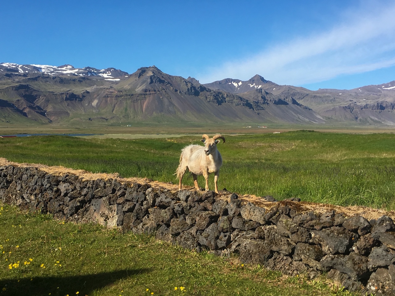 Our Amazing 10 Day Road Trip Around Iceland
