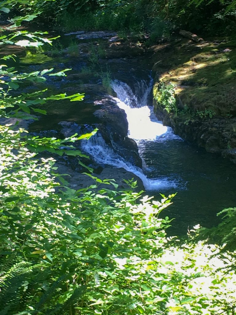 Drake Falls on the Trail of Ten Falls