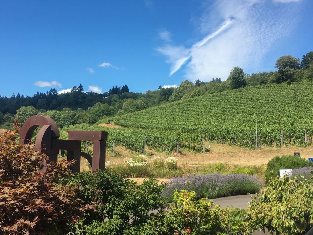 the vineyard at REX HILL in Dundee Hills, Oregon