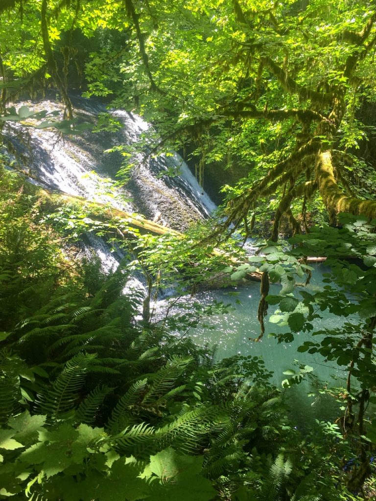 Lower North Falls on the Trail of Ten Falls