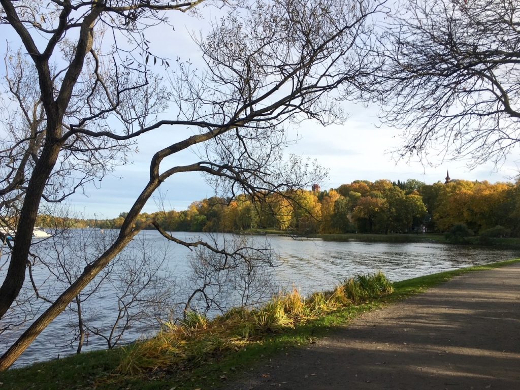 Stunning fall foliage in Stockholm, Sweden