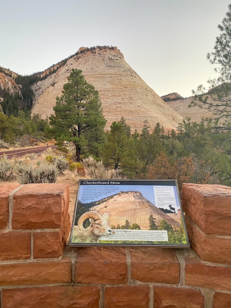Checkerboard Mesa is a unique stop on the way from Zion to Bryce Canyon National Park