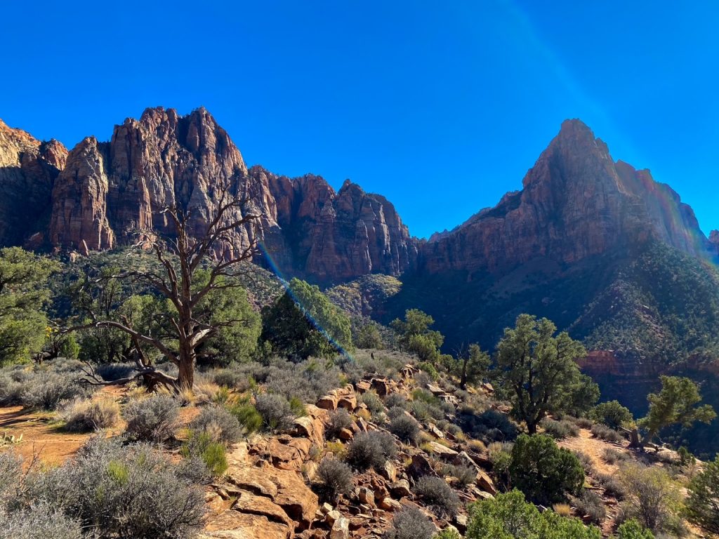 a view of the Watchman from the Watchman Trail at Zion National Park