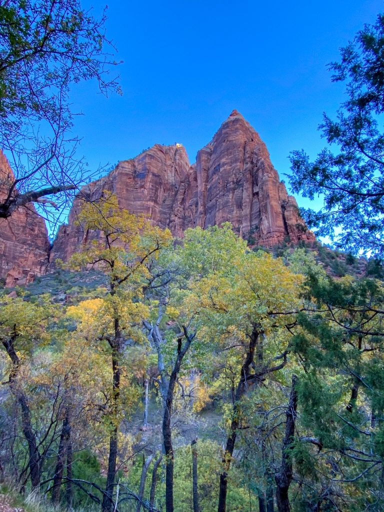 a pretty view along the Lower Emerald Pools Trail