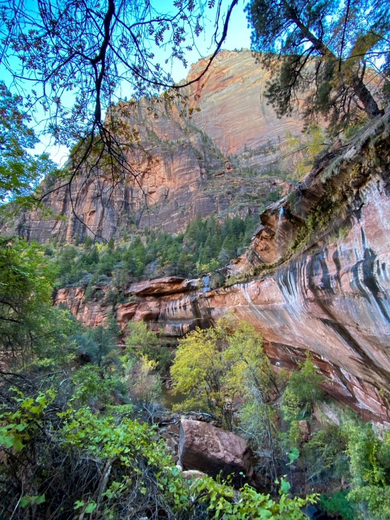 a view from the Upper Emerald Pools Trail at Zion National Park