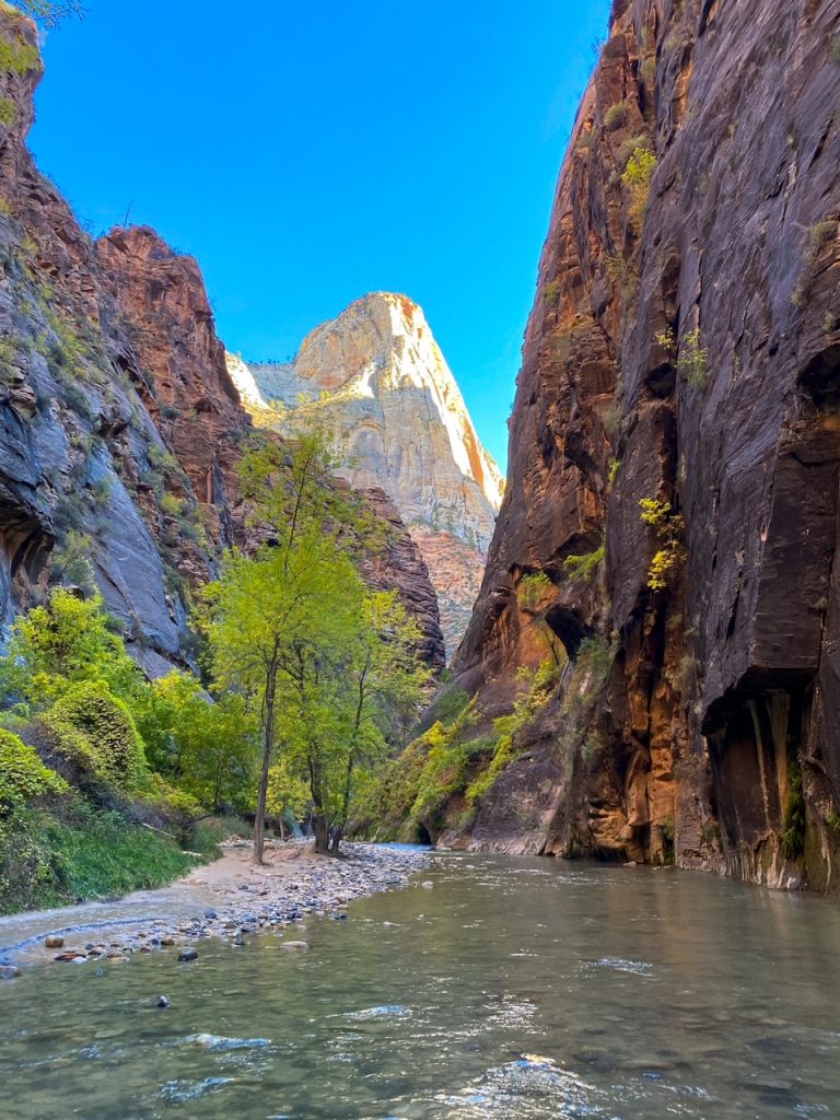 a cool view of the Narrows trail in Zion National Park