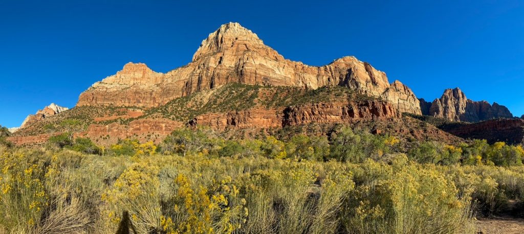 a panoramic view from the Pa’rus Trail at Zion National Park