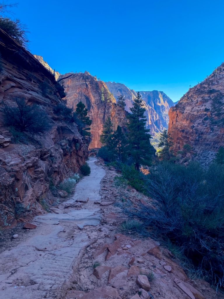 the West Rim Trail toward Cabin Spring at Zion National Park