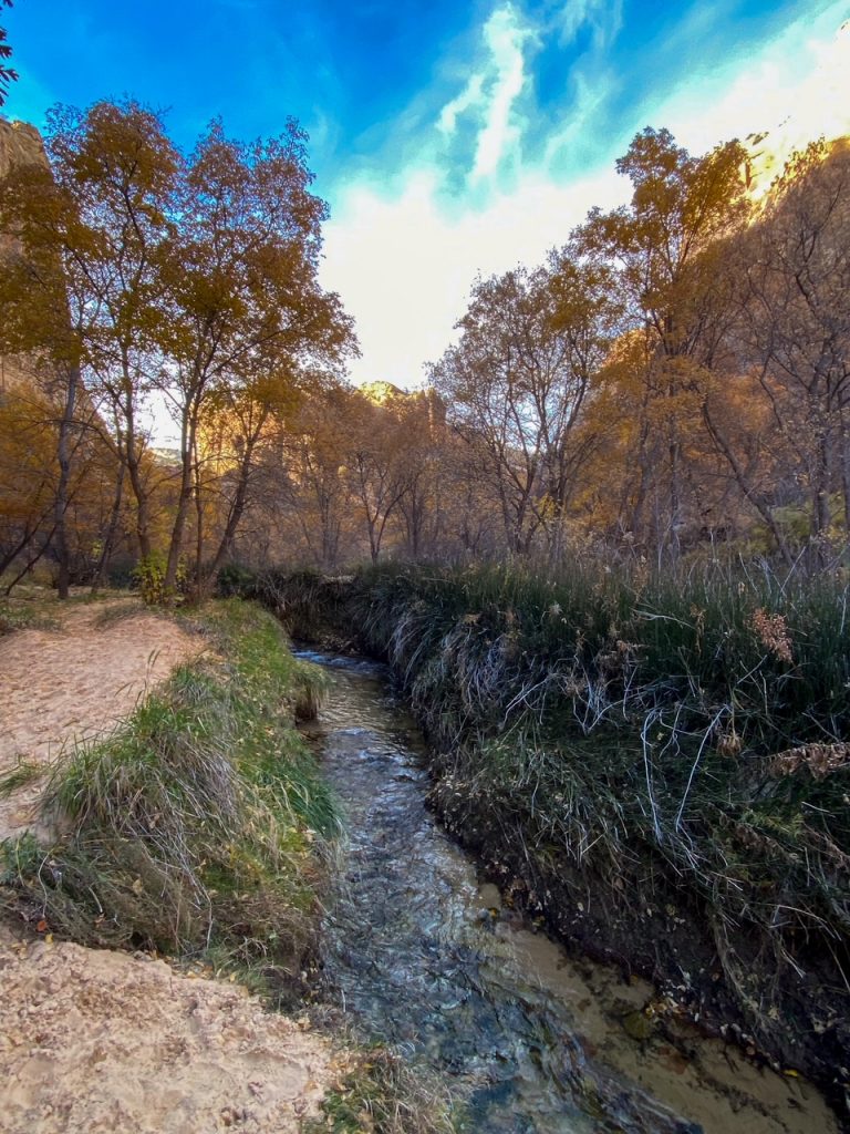 river on the Lower Calf Creek Falls trail