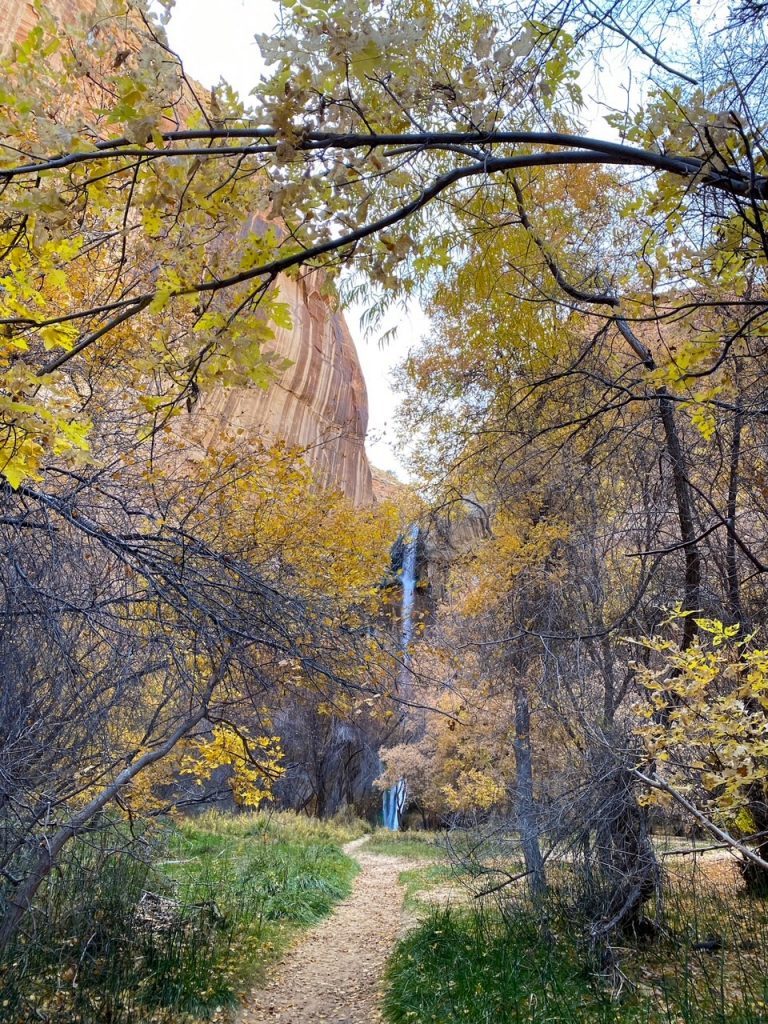 the fall is one of the best times to visit Lower Calf Creek Falls and to hike Lower Calf Creek Falls trail