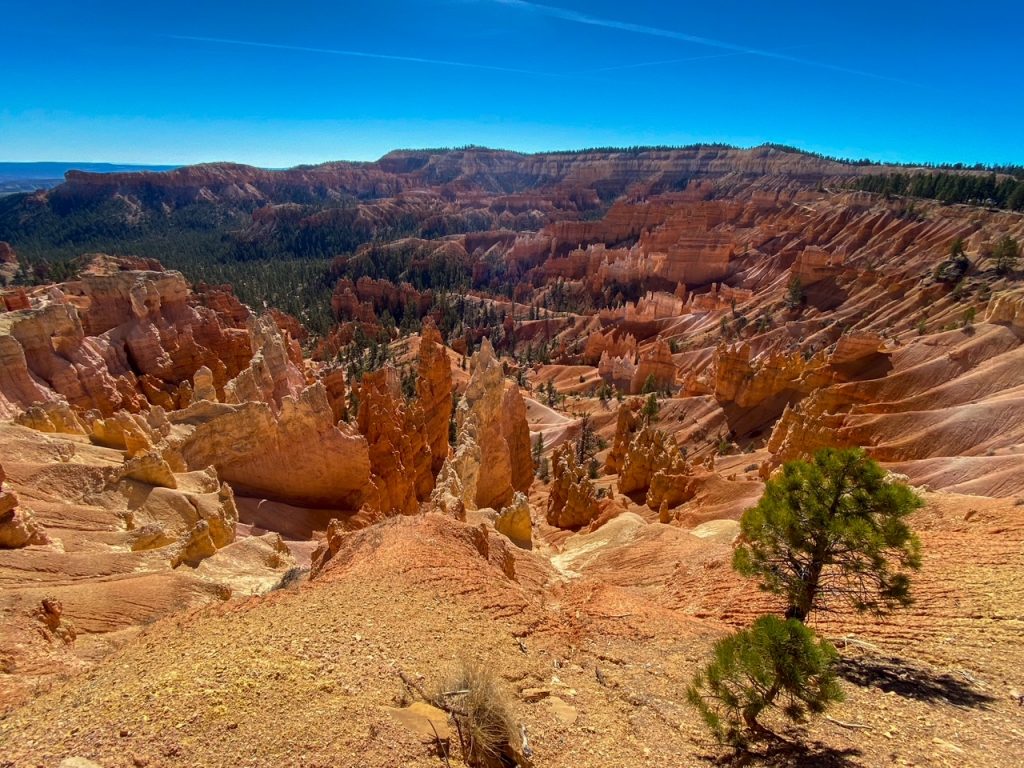 a beautiful hoodoo view from the Queen's Garden Trail in Bryce Canyon