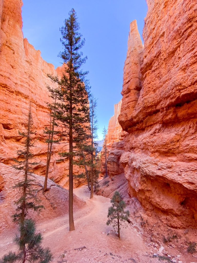 a canyon view along the Navajo Loop the most popular trail in Bryce Canyon National Park
