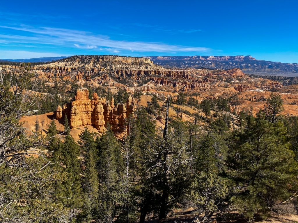 a cool forested amphitheater view from the Queen's Garden Trail in Bryce Canyon