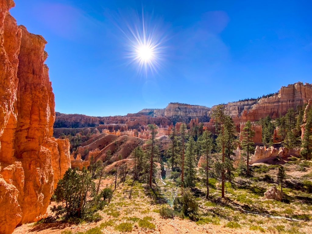 a forested hoodoo view along the Figure-8 Combination Trail in Bryce Canyon