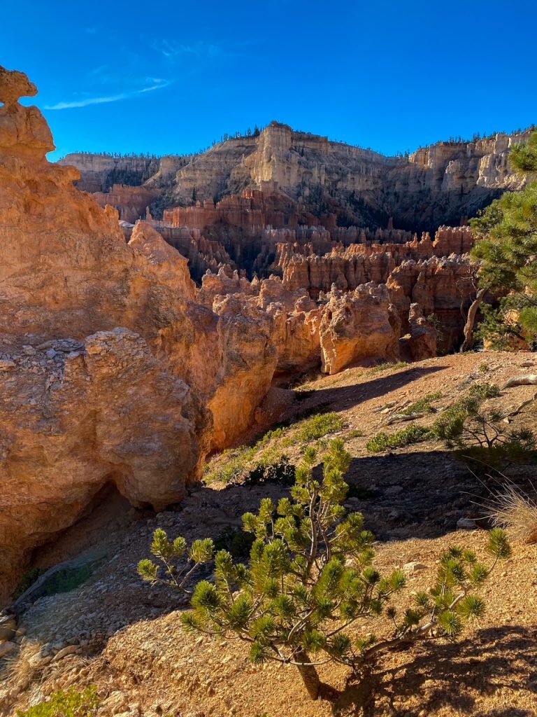 a pretty rocky view on the Peekaboo Loop Trail in Bryce Canyon