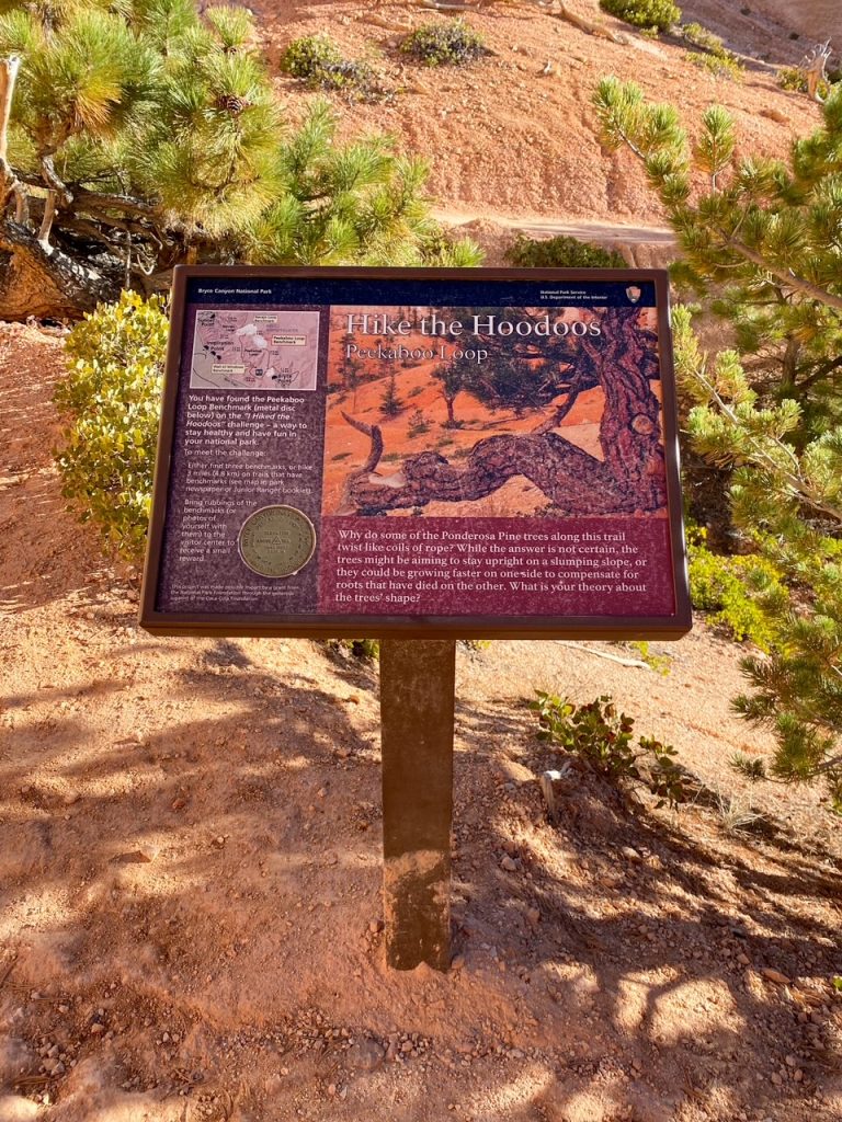 a sign for the Peekaboo Loop in Bryce Canyon National Park