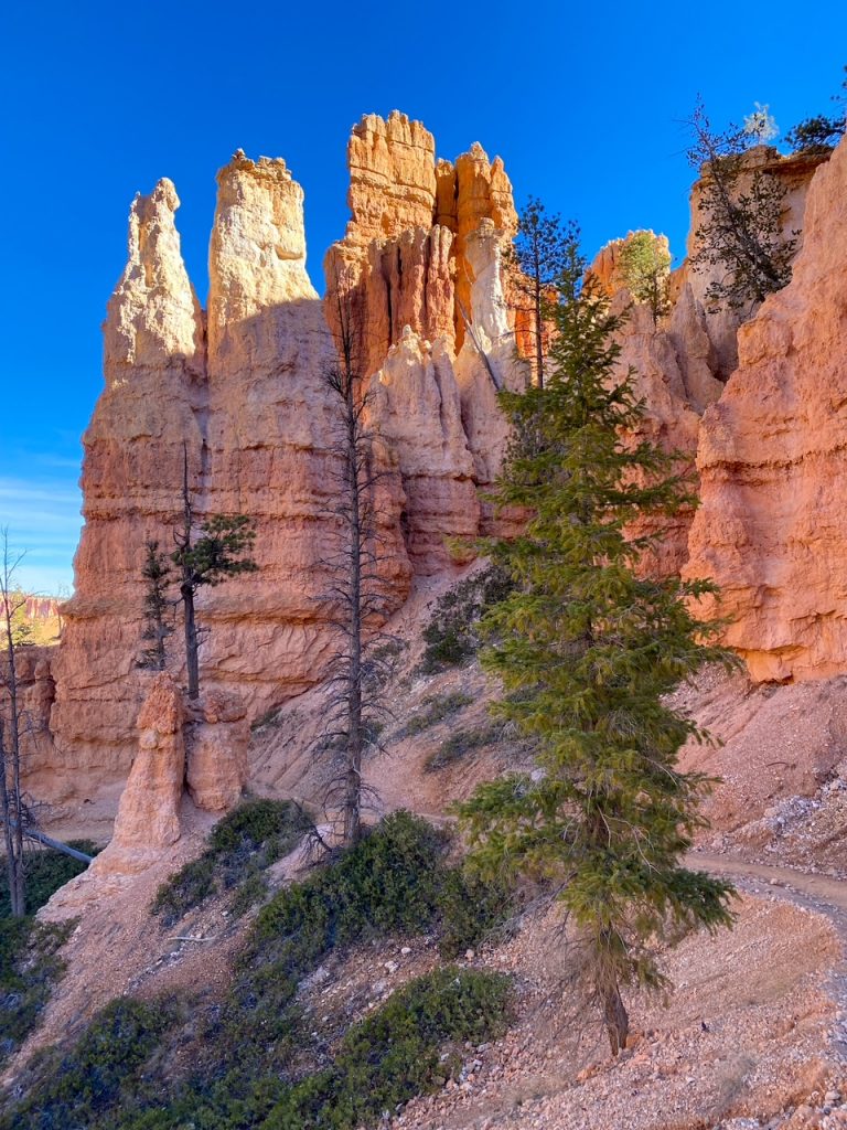 hoodoos forming large walls along the Peekaboo Loop in Bryce Canyon
