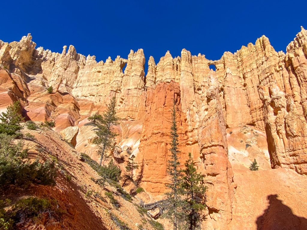 the magnificent Wall of Windows along the Peekaboo Loop in Bryce Canyon National Park