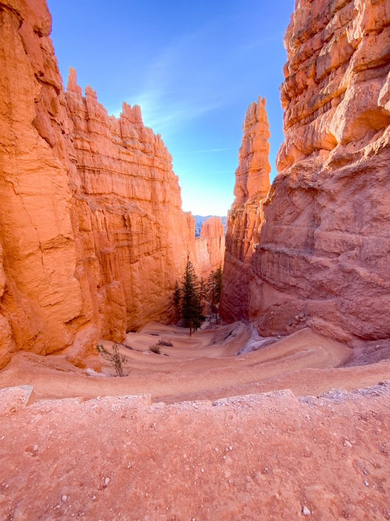 the switchbacks at the start of the Navajo Loop leaving Sunset Point in Bryce Canyon