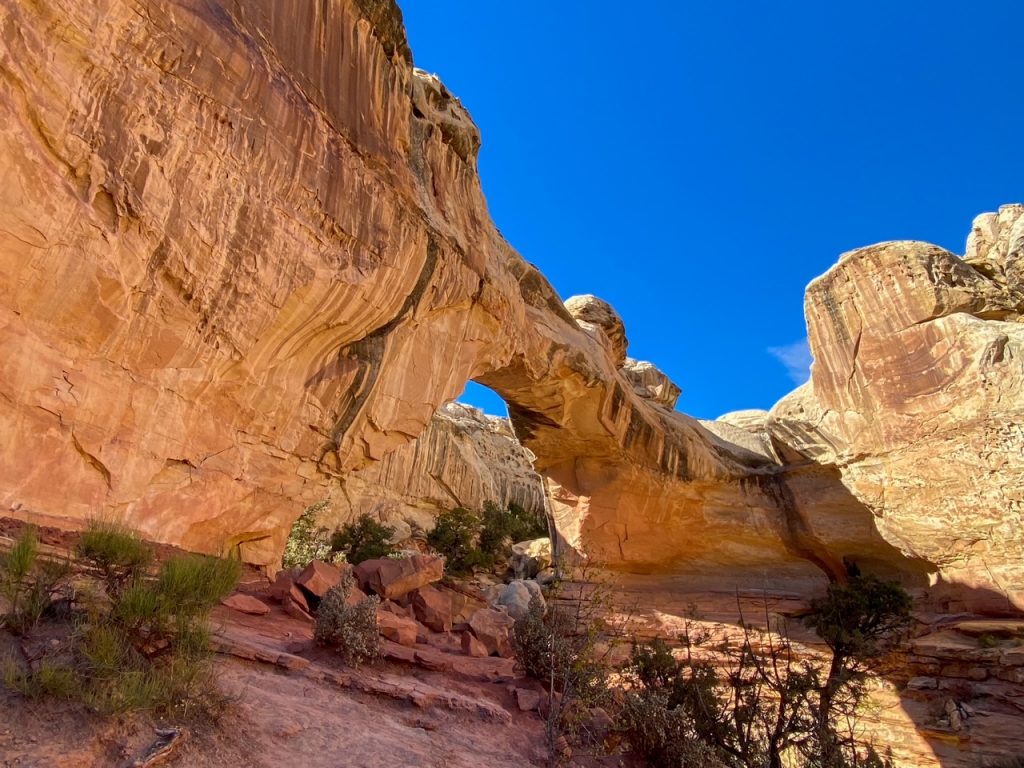 Hickman Bridge is another must-see during your one day in Capitol Reef National Park