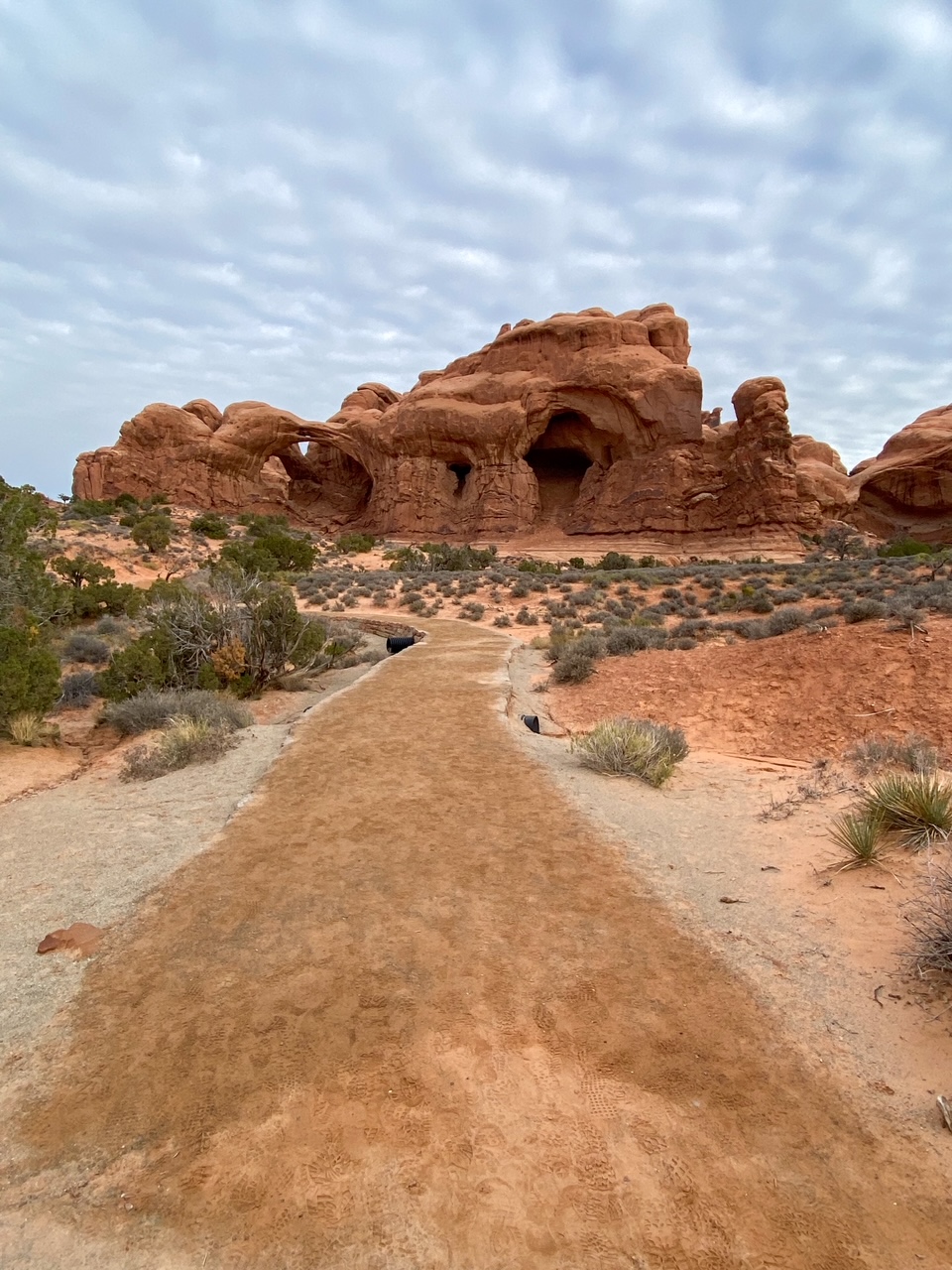 along the trail to Double Arch