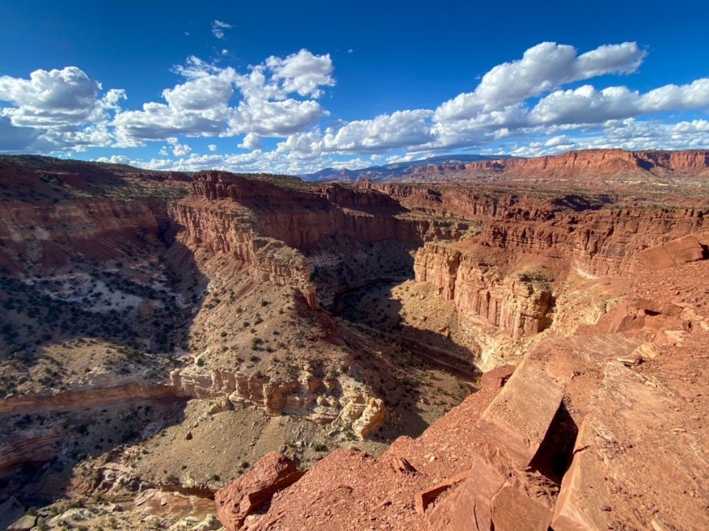 a canyon view at the Goosenecks, an easy trail to add to your one-day Capitol Reef National Park itinerary