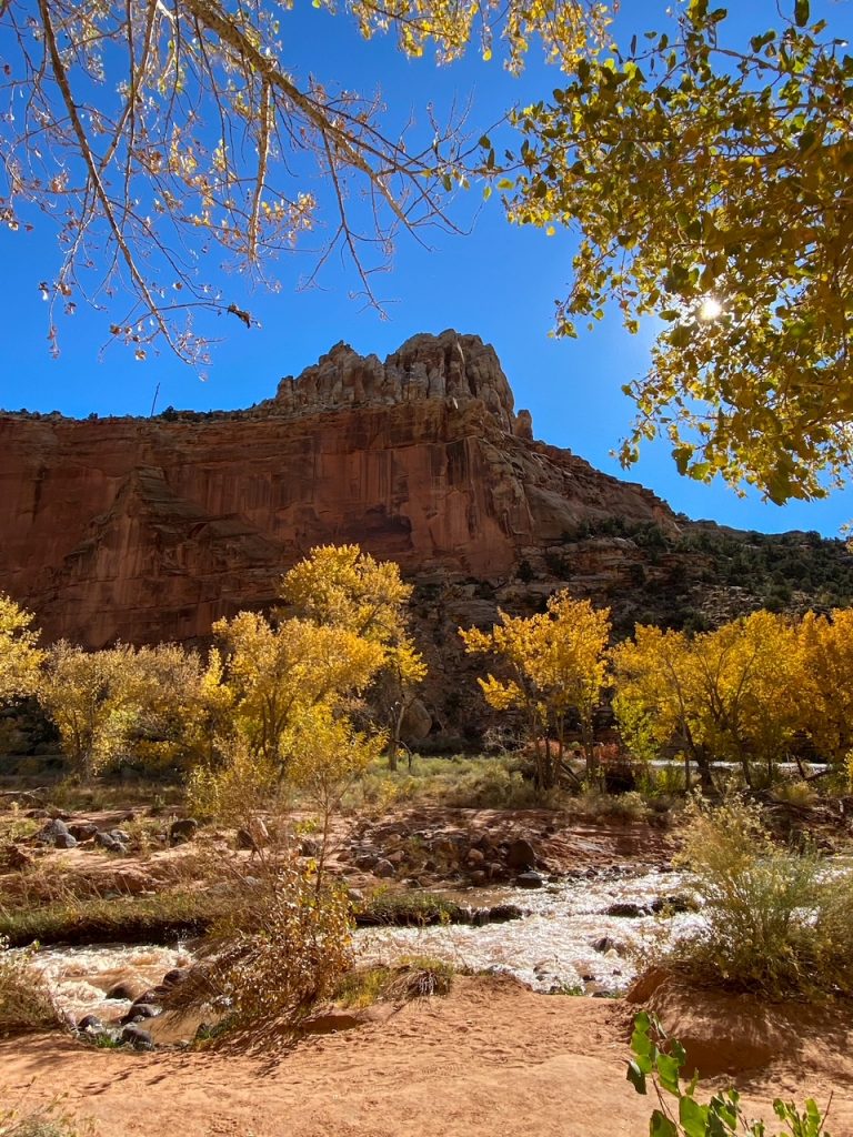 a cool rock formation and some golden fall foliage along the Hickman Bridge Trail in Capitol Reef National Park