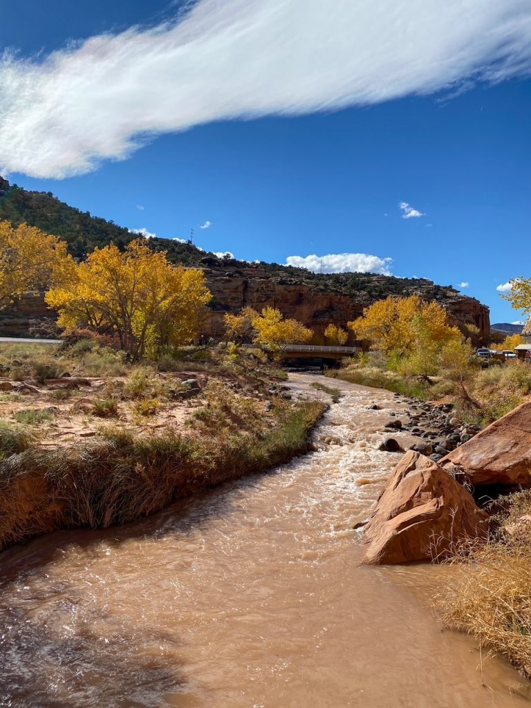 a river and some golden fall foliage along the Hickman Bridge Trail in Capitol Reef National Park