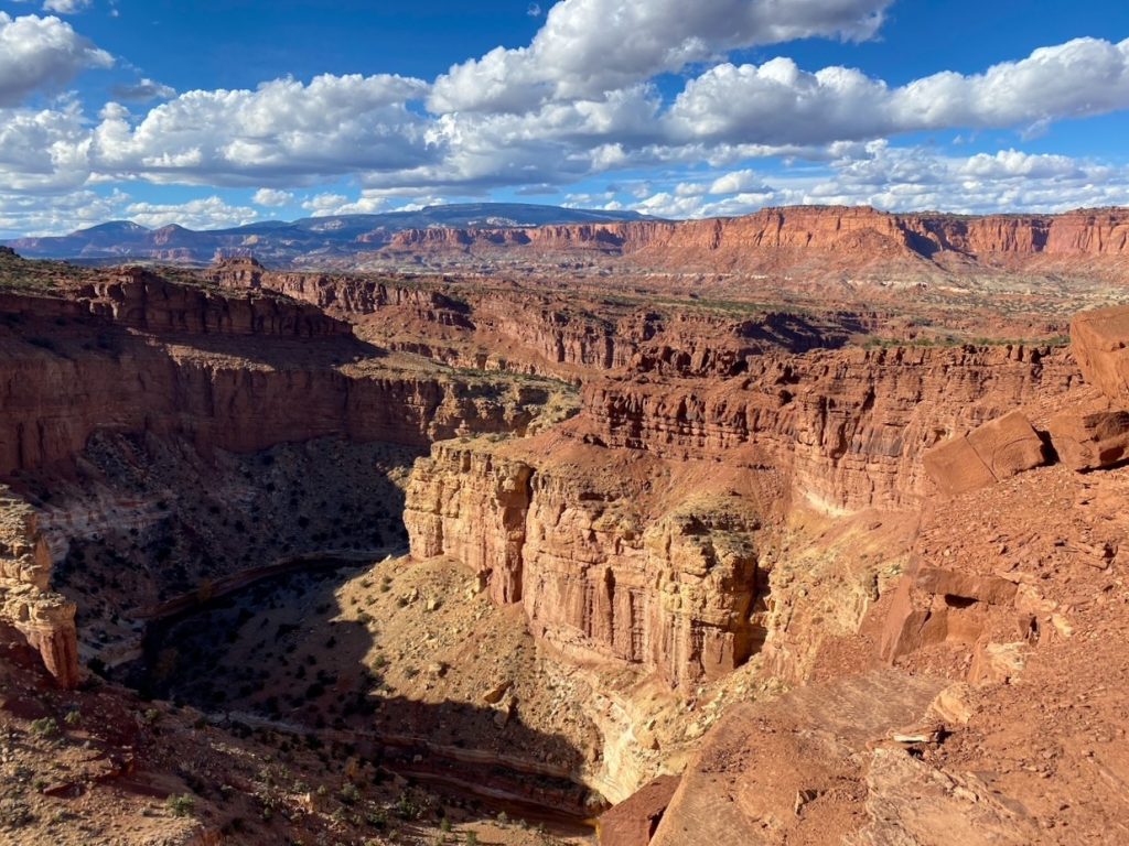 overlooking the canyon at the Goosenecks in Capitol Reef National Park