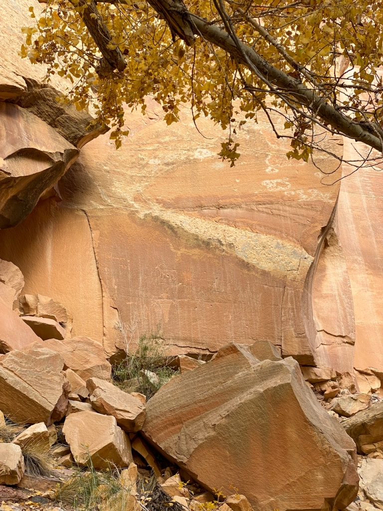 some animal and people carvings at the Fremont Petroglyph Panels in Capitol Reef National Park