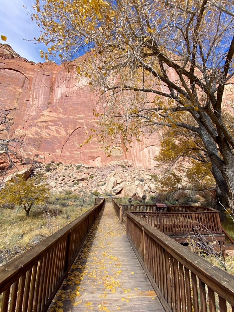 the boardwalk leading to the Fremont Petroglyph Panels, another must-see during your one day in Capitol Reef