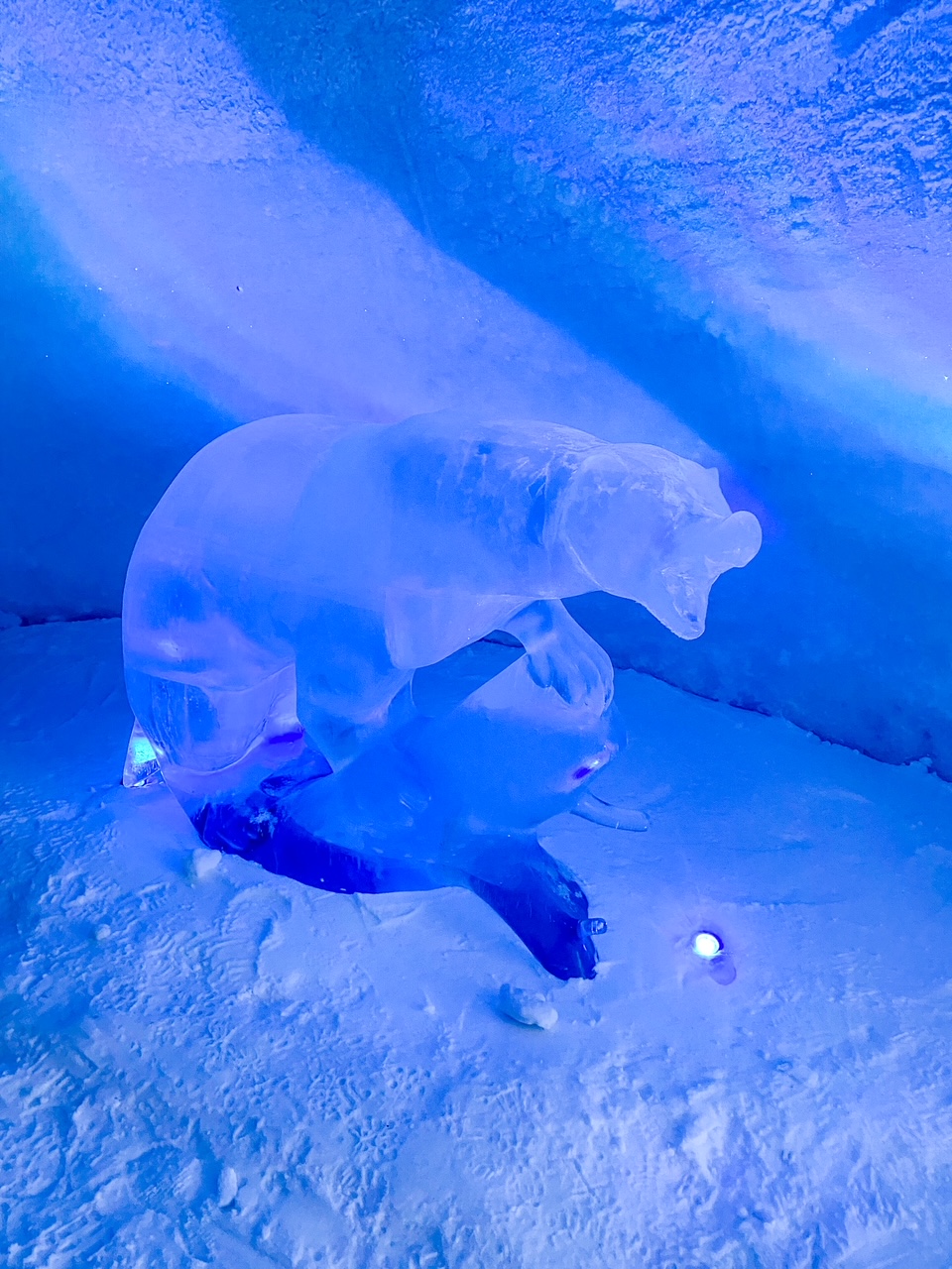 polar bear ice sculpture at the Snowhotel