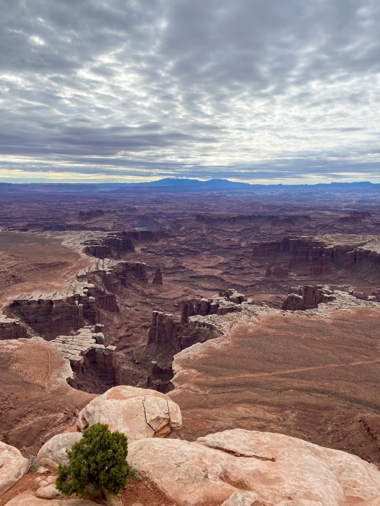 an incredible view from the White Rim Overlook in Canyonlands National Park