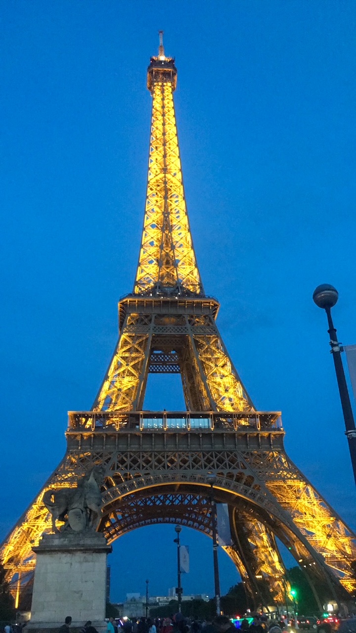 the Eiffel Tower at night