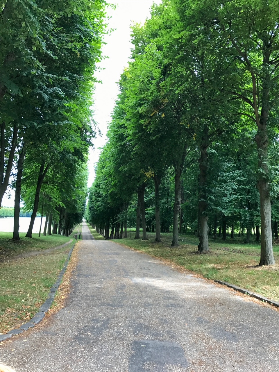 the Royal forests at the Palace of Versailles