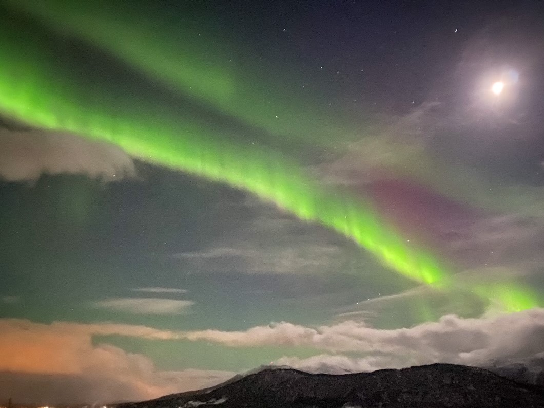 Tromsø Northern Lights
