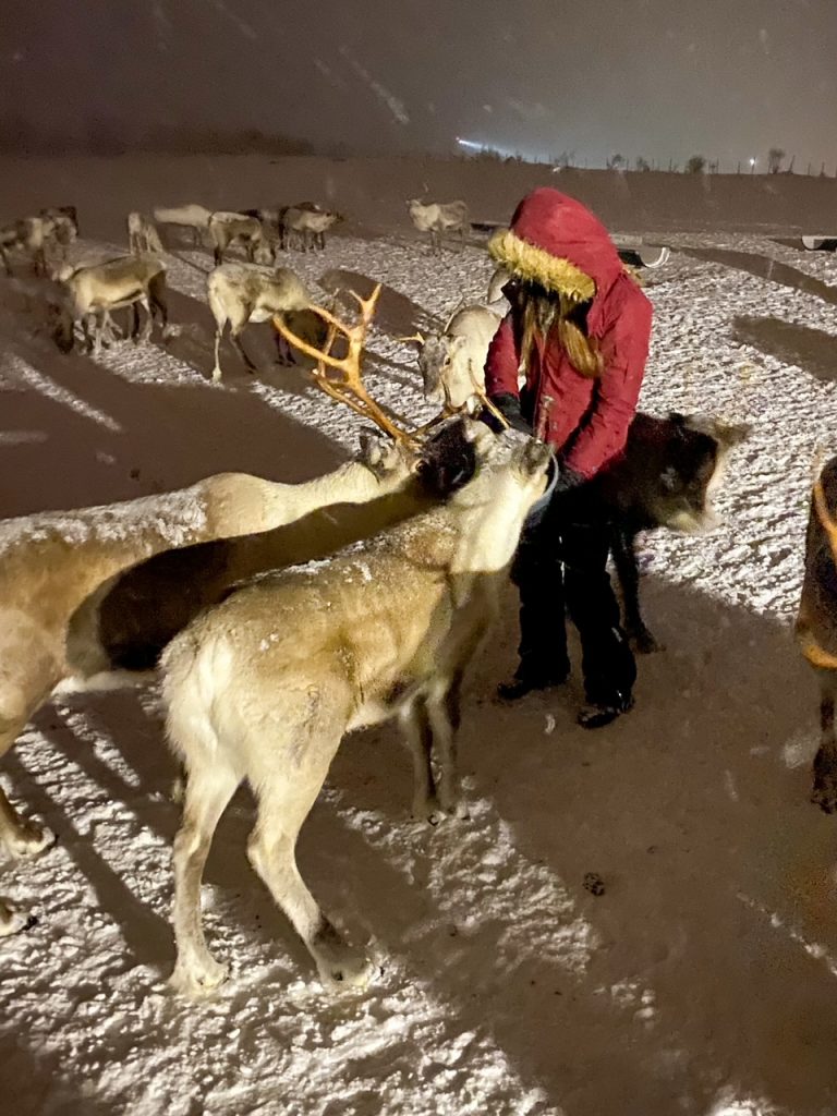 Sara feeding some reindeer in Tromsø