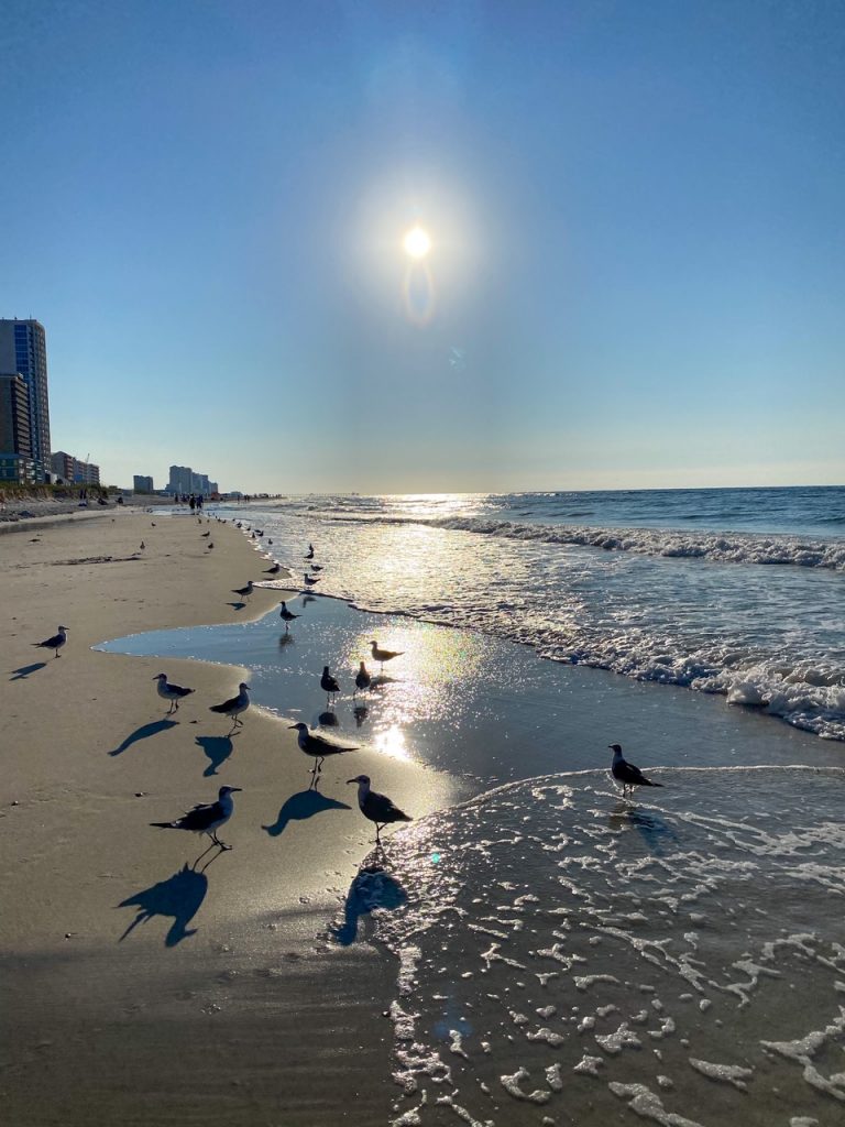 a morning walk on Gulf Shores Beach