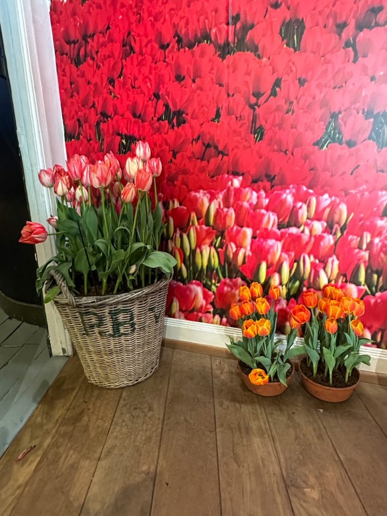 Tulips at the Amsterdam Tulip Museum