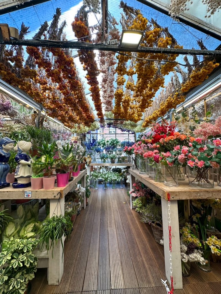 a beautiful shop at the Bloemenmarkt in Amsterdam in late spring
