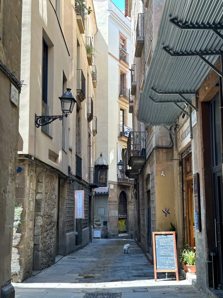 another charming Barcelona side street in the summer