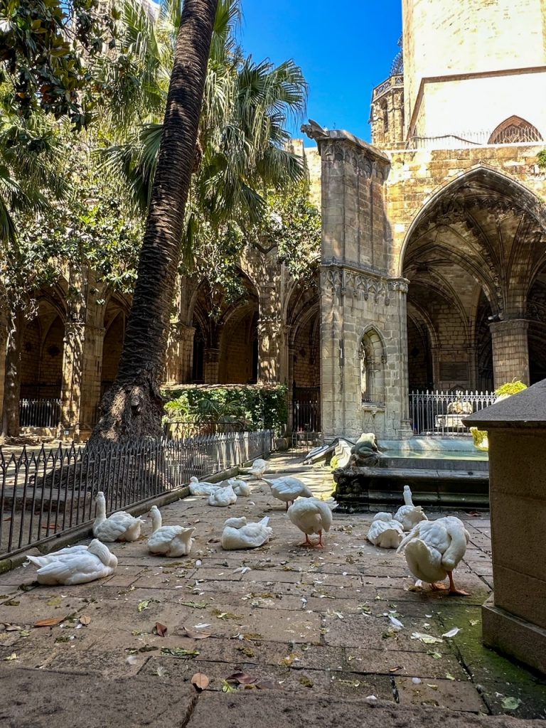 the secluded cloister at the Cathedral of the Holy Cross and Saint Eulalia