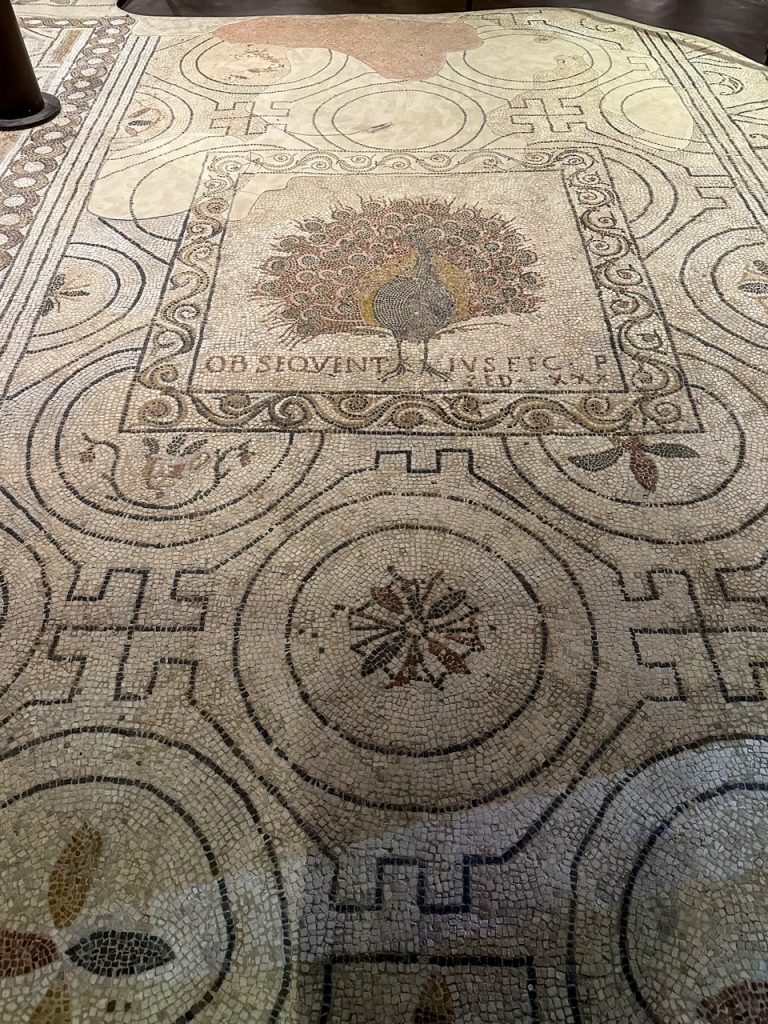 the peacock mosaic at Santa Reparata